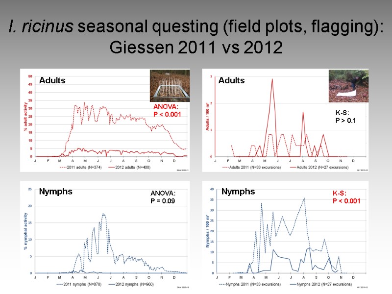 I. ricinus seasonal questing (field plots, flagging): Giessen 2011 vs 2012 Adults Adults Nymphs